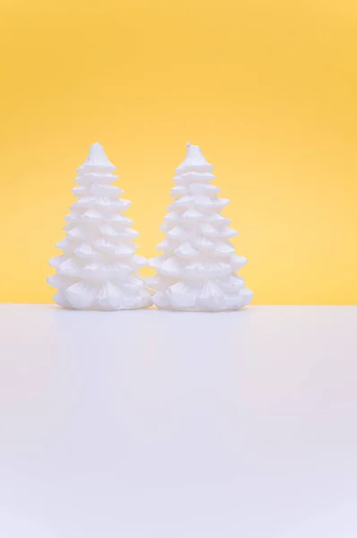 Conifères Décoratifs Isolés Sur Fond Jaune Pastel Blanc — Photo