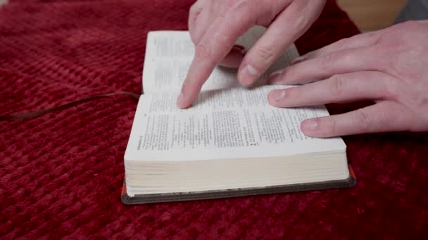 Imágenes Del Hombre Leyendo Biblia — Vídeos de Stock