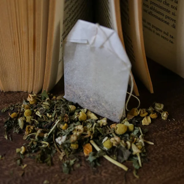 Closeup Shot Scattered Dried Tea Leaves Tea Bug Open Book — Foto Stock