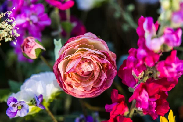 Bright Flowers Blossomed Garden — Stock Fotó