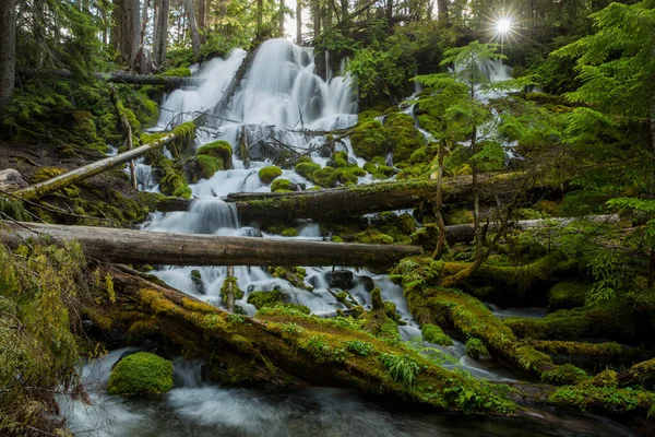Naturskön Över Clearwater Falls Oregon Usa — Stockfoto