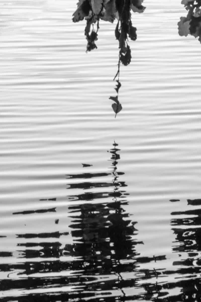 Tiro Preto Branco Lago Calmo — Fotografia de Stock