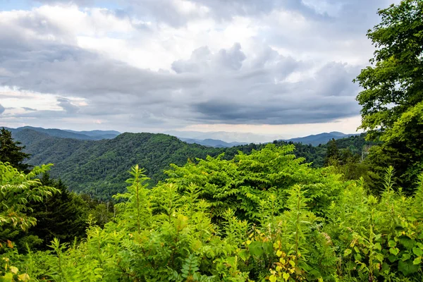 Uma Bela Paisagem Árvores Verdes Montanhas Verdes Sob Céu Cinza — Fotografia de Stock