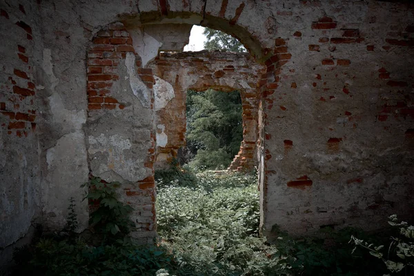 Primer Plano Las Ruinas Antiguo Castillo Budimir Eslovaquia — Foto de Stock