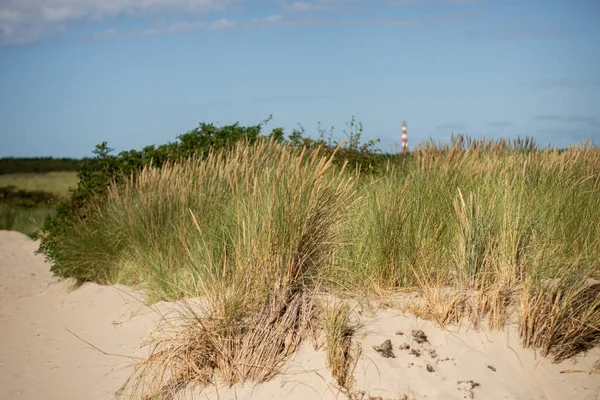 Ein Sandstrand Mit Hohem Gras Und Einem Leuchtturm Hintergrund — Stockfoto