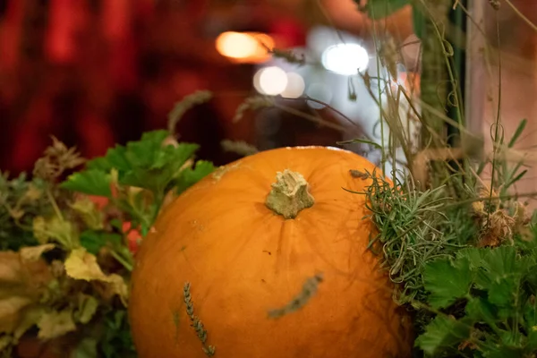 Een Close Van Een Pompoen Als Halloween Thanksgiving Decoratie — Stockfoto