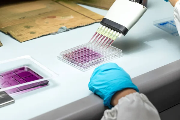 Primer Plano Del Experimento Microplacas Pozo Con Medio Rosa Para — Foto de Stock