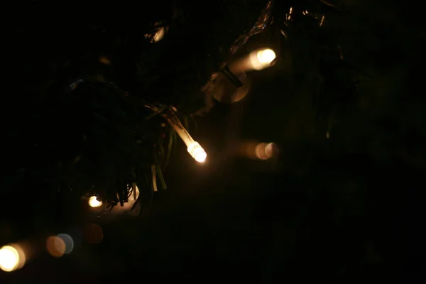 Ένα Κοντινό Πλάνο Από Μικρά Φωτισμένα Φώτα Ένα Χριστουγεννιάτικο Δέντρο — Φωτογραφία Αρχείου