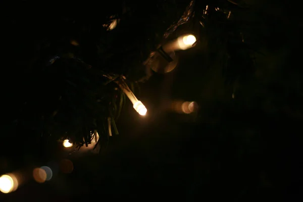 Gros Plan Petites Lumières Illuminées Sur Arbre Noël — Photo