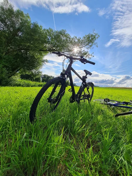 Vertical Shot Bicycle Field Blue Sky Background — Stock Photo, Image