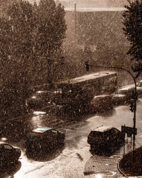 雨中街道上的汽车和公共汽车的垂直镜头 — 图库照片