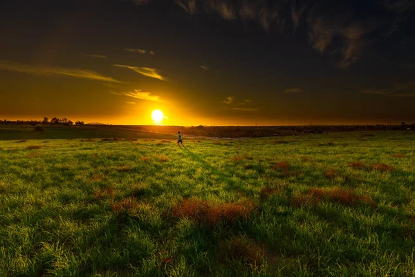 Una Hermosa Vista Campo Hierba Atardecer — Foto de Stock