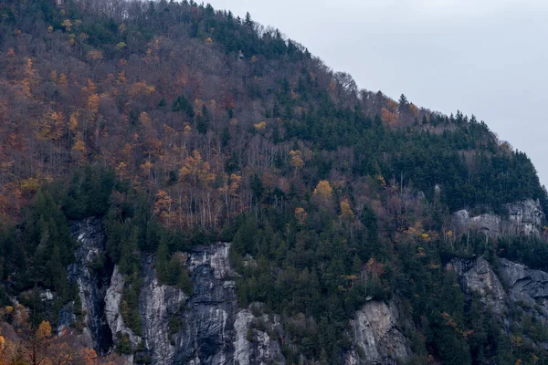 Uma Bela Vista Folhagem Árvores Com Cores Outono Uma Montanha — Fotografia de Stock