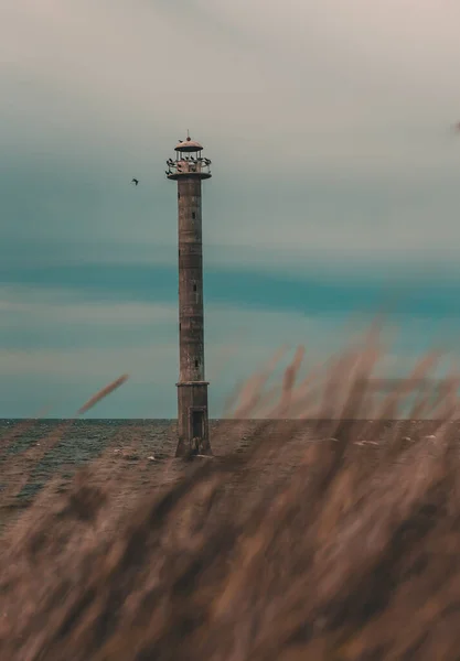 Самотній Маяк Вітряний Хмарний День Естонії — стокове фото