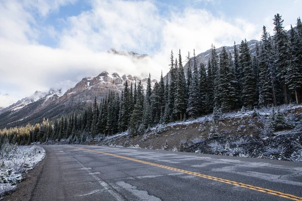 Silnice Obklopená Stromy Pokrytými Sněhem Národním Parku Jasper Alberta Kanada — Stock fotografie