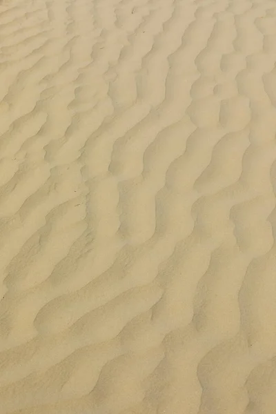 Saskatchewan Kanada Daki Great Sand Hills Dikey Kum Tepeleri — Stok fotoğraf