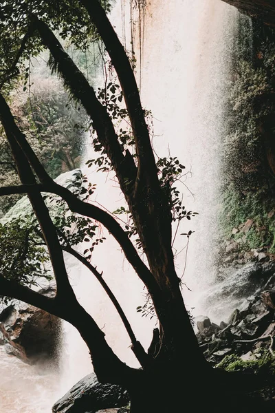 Disparo Vertical Una Hermosa Cascada Que Fluye Bosque Keniano —  Fotos de Stock