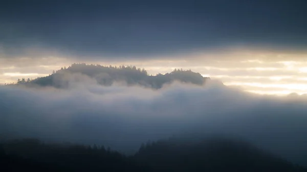 Foggy Landscape Spring Lake Santa Rosa California — Stock Photo, Image