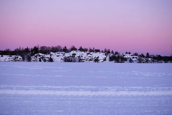 Vacker Utsikt Över Snöig Dag Ett Berg Med Granar — Stockfoto