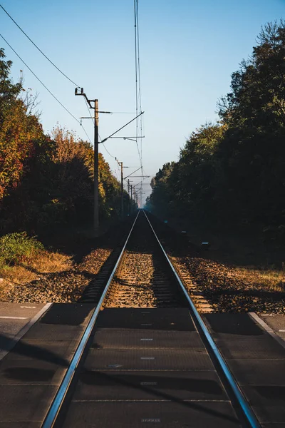 Güneşli Bir Günde Güzel Bir Demiryolu Manzarası — Stok fotoğraf