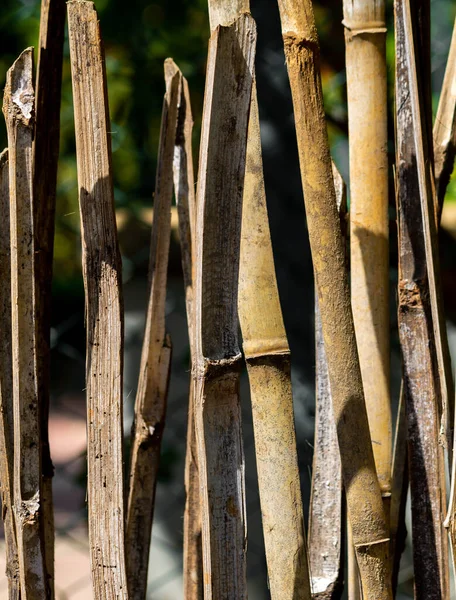 Egy Függőleges Lövés Egy Fából Készült Kerítésről Szabadban Napos Időben — Stock Fotó
