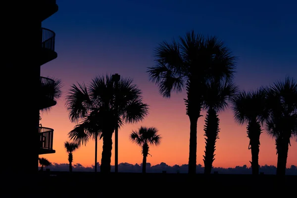 Una Silhouette Palme Edifici Durante Bellissimo Tramonto — Foto Stock