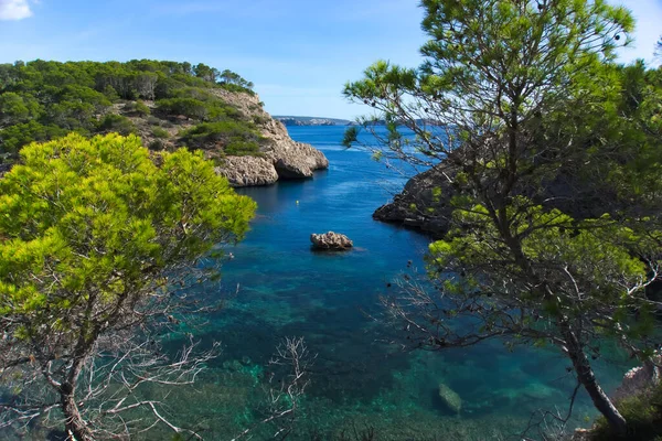 Blauw Turkoois Helder Water Baai Van Cal Monjo Mallorca Omringd — Stockfoto