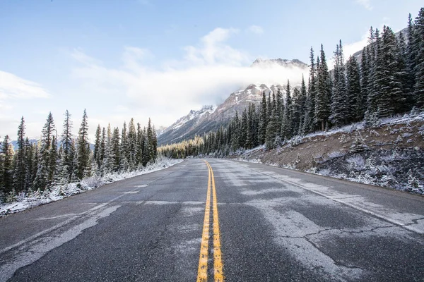 Uma Estrada Cercada Por Árvores Cobertas Neve Parque Nacional Jasper — Fotografia de Stock