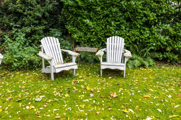 Dwa Białe Krzesła Patio — Zdjęcie stockowe