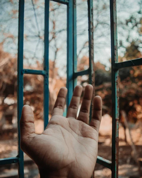 Seletivo Uma Palma Apontando Para Uma Cerca Metal Parque — Fotografia de Stock