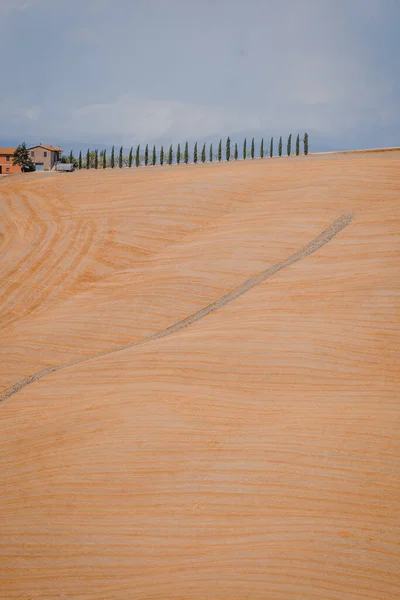 Вертикальный Снимок Коричневого Песчаного Холма Рядом Деревьев Тоскане Италия — стоковое фото