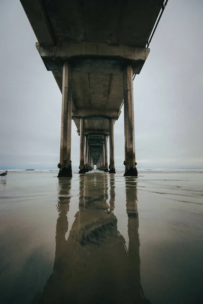 Eine Vertikale Aufnahme Eines Jolla San Diego — Stockfoto