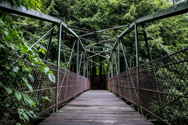 Μια Γραφική Θέα Μιας Ξύλινης Γέφυρας Ένα Δάσος — Φωτογραφία Αρχείου