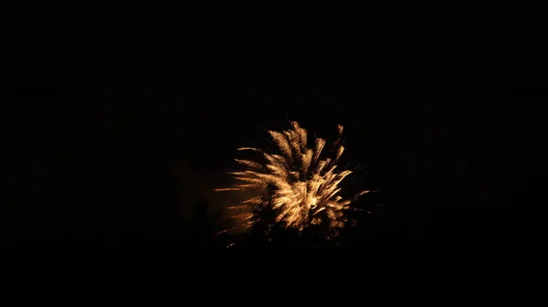 Exploding Gold Fireworks Black Background — Stock Photo, Image