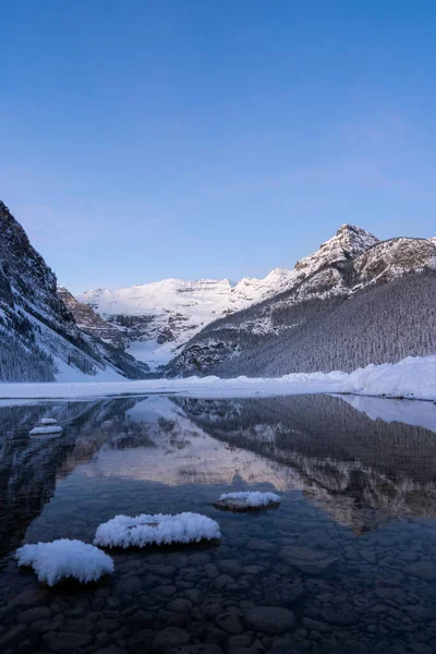 Chilling View Frozen River Forest Landscape Clear Blue Sky — Stock fotografie