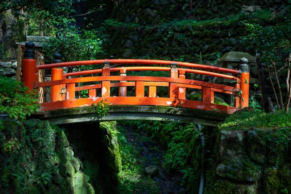 Czerwony Vermillion Most Lesie Japonii — Zdjęcie stockowe