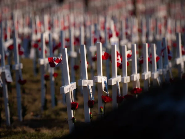 Field Crosses Remembrance Fallen Canadian Soldiers — Stock Photo, Image