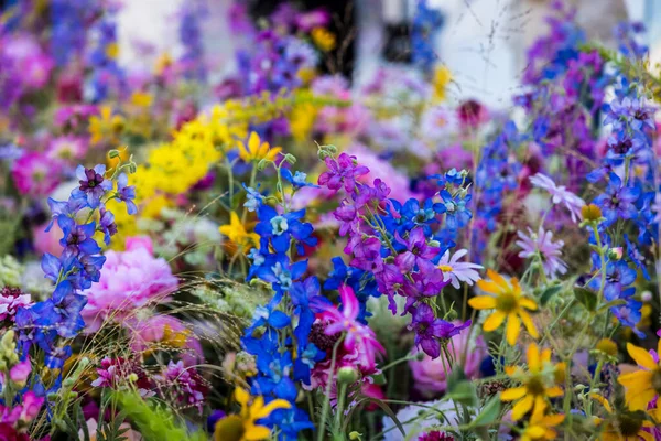 Μια Όμορφη Φωτογραφία Από Μια Ποικιλία Πολύχρωμων Λουλουδιών Που Ανθίζουν — Φωτογραφία Αρχείου