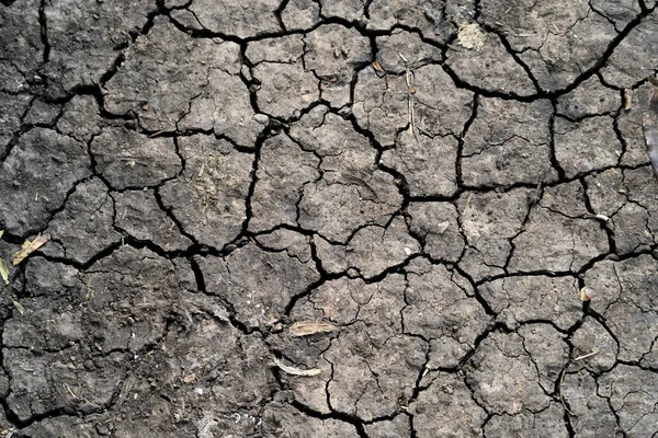 Top View Dried Cracked Ground Daylight Perfect Wallpapers — Stock Photo, Image