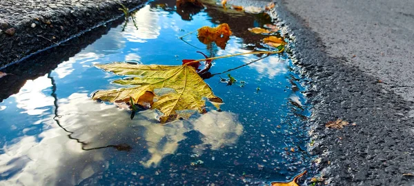 Charco Con Algunas Hojas Reflejo Cielo — Foto de Stock