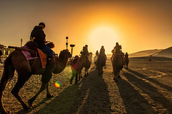 Skupina Turistů Kteří Cestují Velbloudech Poušti Při Východu Slunce — Stock fotografie
