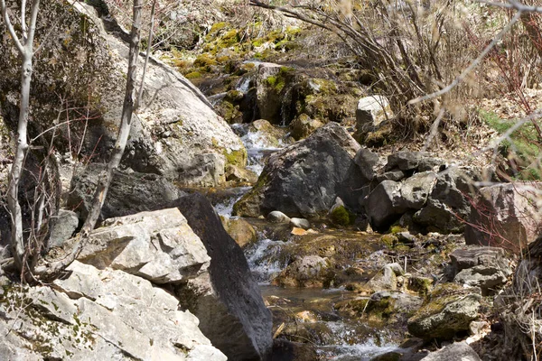 Una Vista Panorámica Río Bosque Con Rocas Piedras Cubiertas Musgo — Foto de Stock