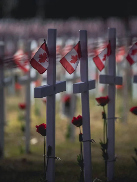 Three Crosses Canadian Flags Them Sea Flags Sit Them Background — Stock Photo, Image