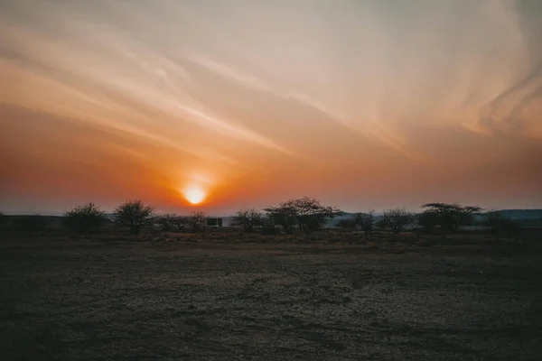 Красивое Заходящее Солнце Над Полем Кенийском Сафари — стоковое фото