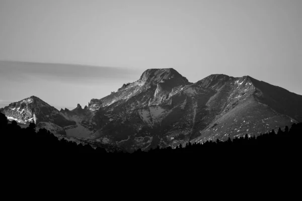 Grayscale Shot Long Peak Mountain Dense Vegetation Foreground Colorado — Zdjęcie stockowe