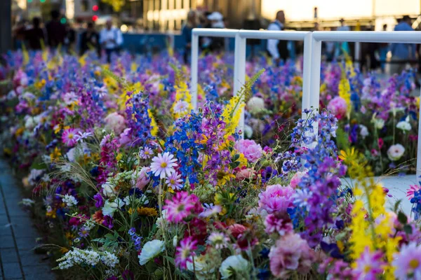 Een Prachtig Shot Van Een Assortiment Van Kleurrijke Bloemen Bloeien — Stockfoto