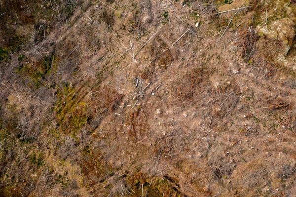 Luchtfoto Boven Beschadigde Natuur Bij Ontbossing Schroevendraaier Drone Schot — Stockfoto