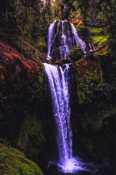 Plan Vertical Une Belle Cascade Dans Une Forêt Avec Des — Photo