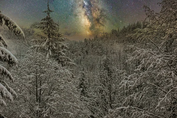 Piękny Widok Zimowego Krajobrazu Drzewami Pokrytymi Śniegiem Drogą Mleczną Tle — Zdjęcie stockowe