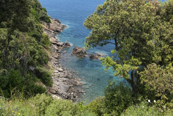 Una Vista Aérea Una Costa Rocosa Con Parque Elba Italia —  Fotos de Stock